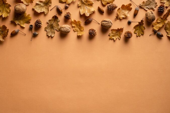 Autunno - Foto U+