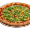 Rucola