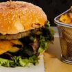Veggie Burger