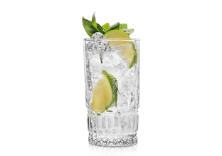 Gin Tonic