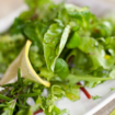 Insalata verde